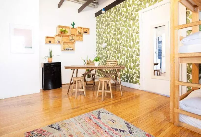 ユースホステル The Steady