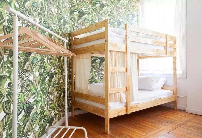 ユースホステル The Steady