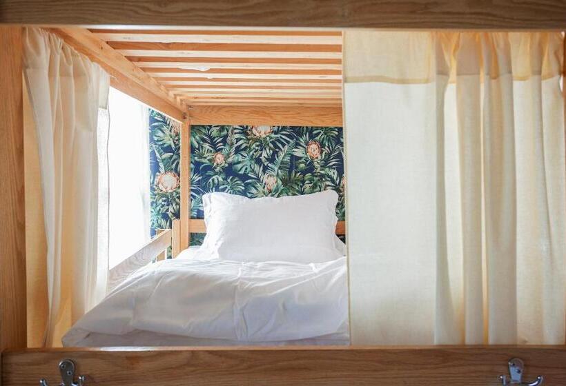 فندق صغير The Steady