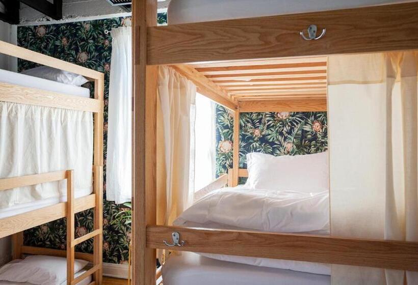 فندق صغير The Steady