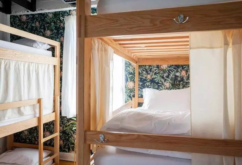 ユースホステル The Steady