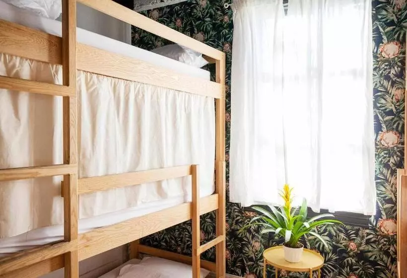 ユースホステル The Steady