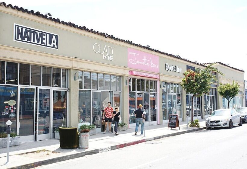 فندق صغير The Steady