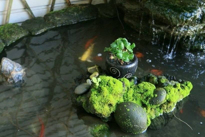 تختخواب و صبحانه Ho Shan Years