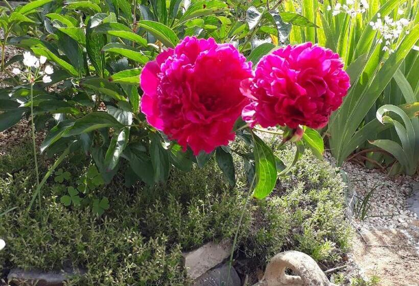 Bed and Breakfast La Colombe