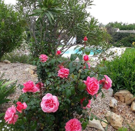 Bed and Breakfast La Colombe