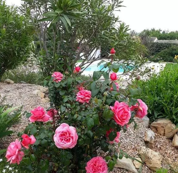 ベッドアンドブレックファースト La Colombe