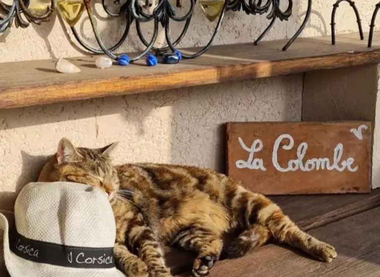 ベッドアンドブレックファースト La Colombe