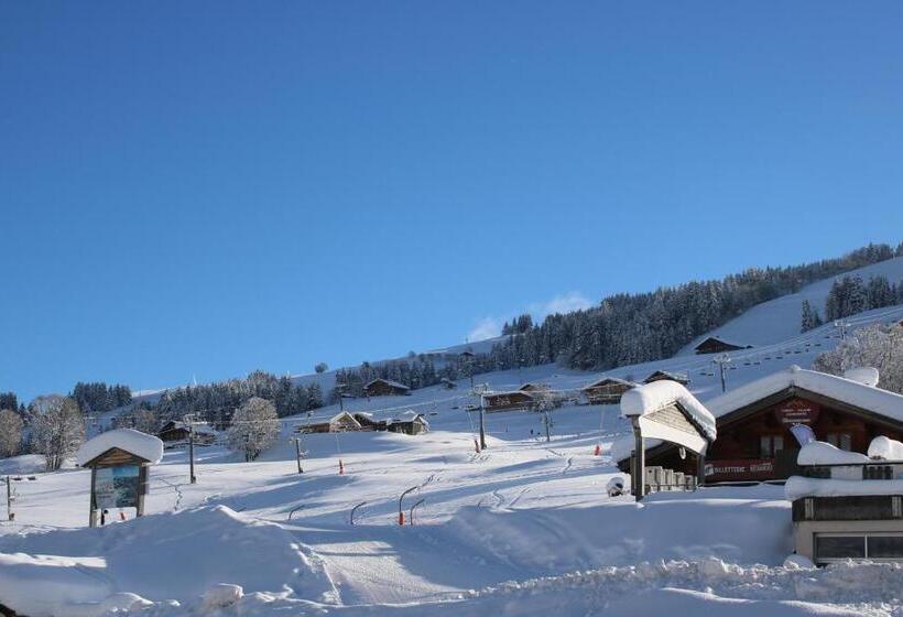 Chalet Hotel Le Mont Bisanne