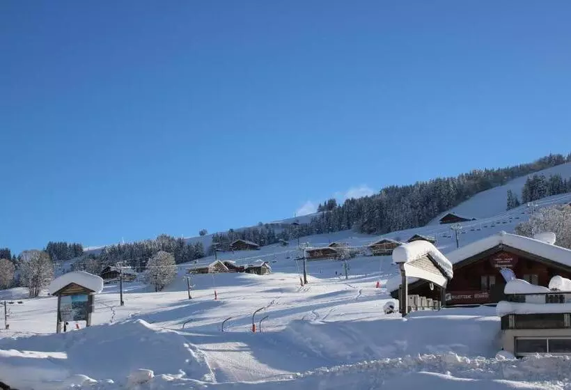 Chalet Hotel Le Mont Bisanne