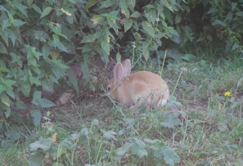 客栈 Auberge De La Canardière