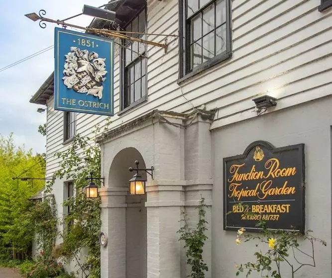 Hostelli The Ostrich