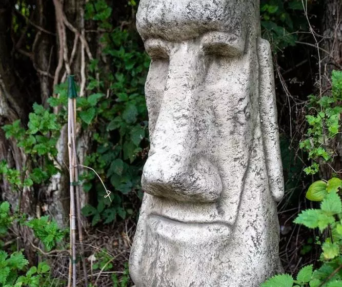 Hostelli The Ostrich