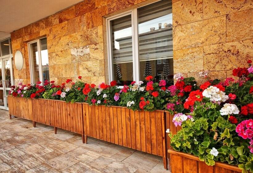 酒店 Safran Germia Palas