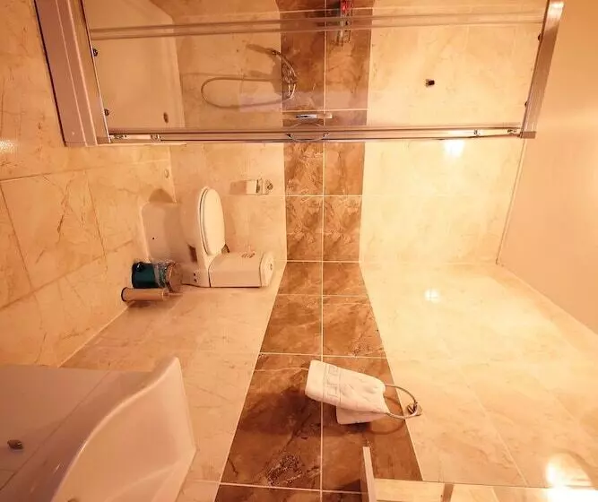 ホテル Safran Germia Palas