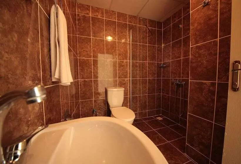 ホテル Safran Germia Palas