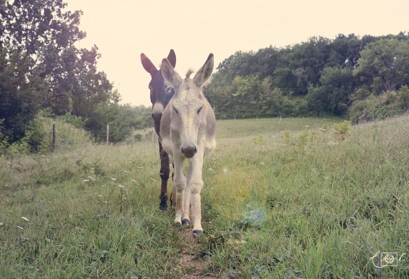 住宿加早餐  A Clairefontaine