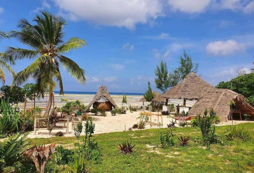 Bed & Breakfast Jcb Resort