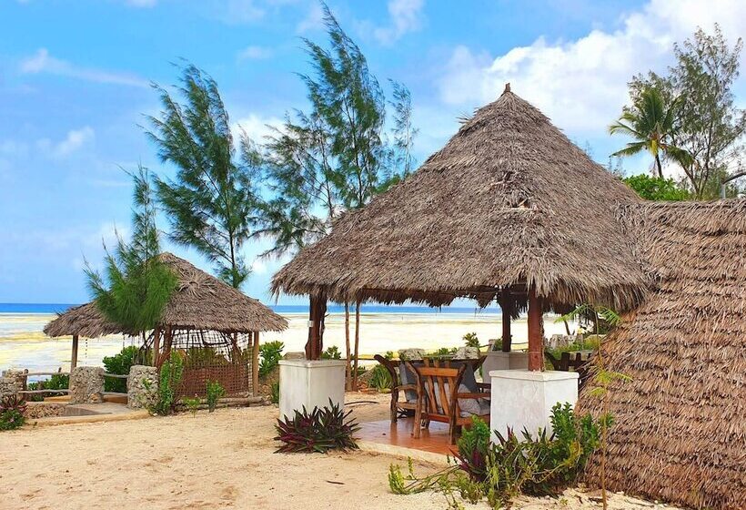 Bed & Breakfast Jcb Resort