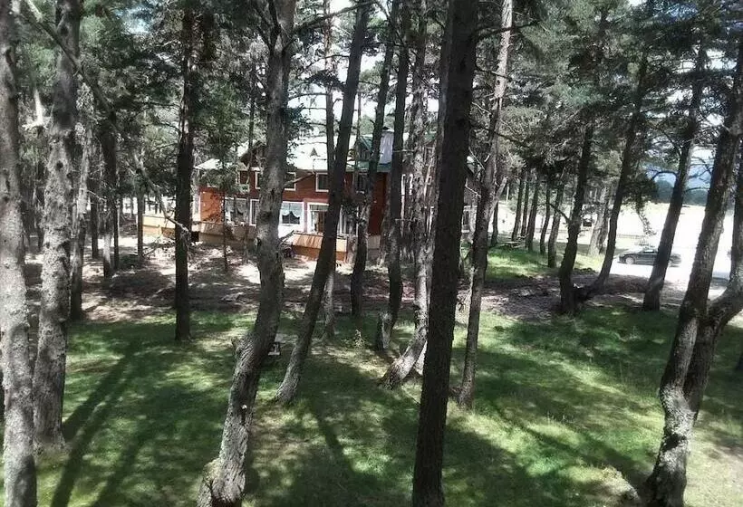 هتل Adya  Aladag Dogal Yasam Alani