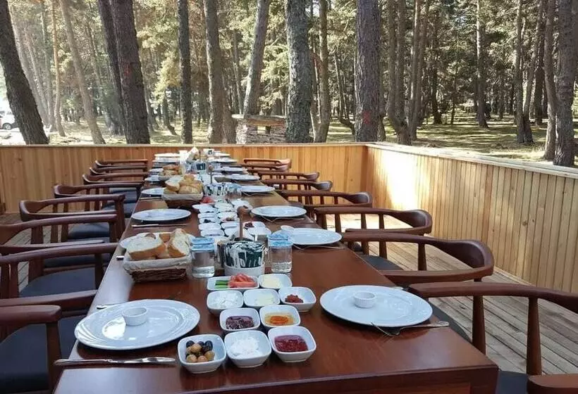 هتل Adya  Aladag Dogal Yasam Alani