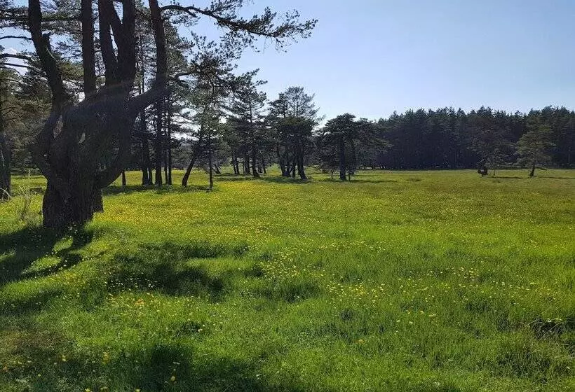 هتل Adya  Aladag Dogal Yasam Alani