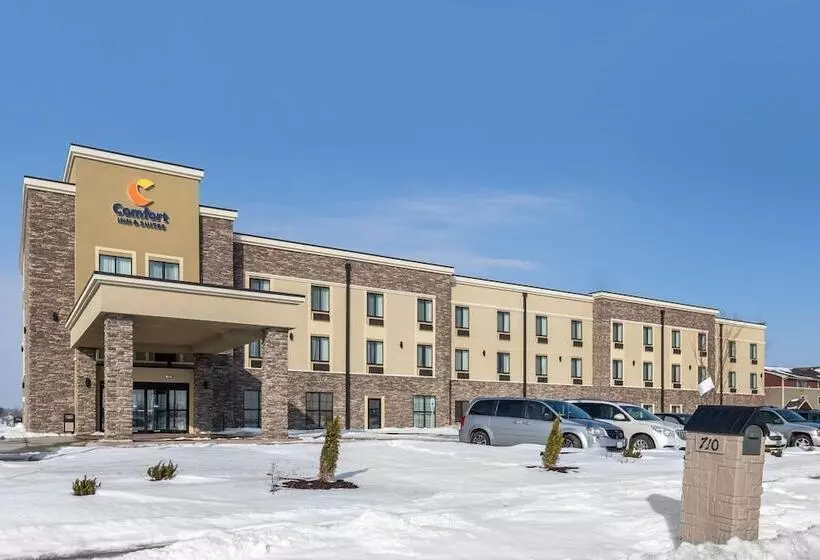 ホテル Comfort Inn & Suites Cedar Rapids Cid Eastern Iowa Airport