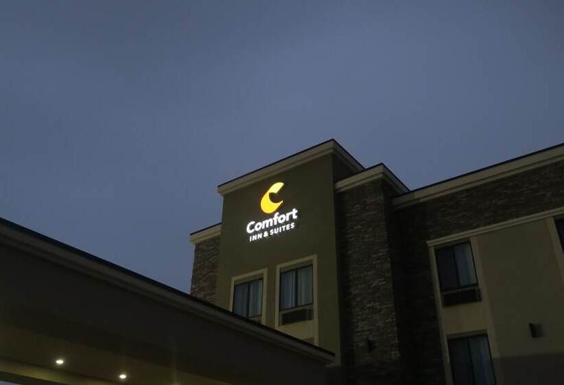 فندق Comfort Inn & Suites Cedar Rapids Cid Eastern Iowa Airport
