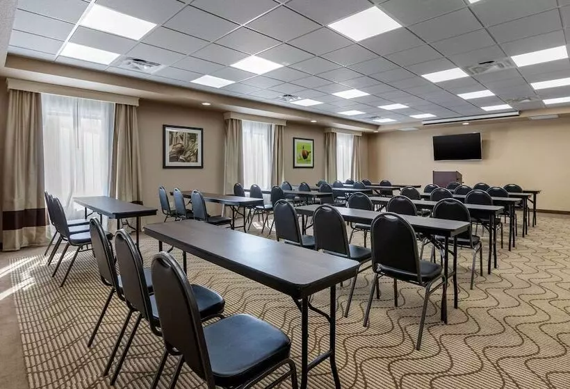 ホテル Comfort Inn & Suites Cedar Rapids Cid Eastern Iowa Airport