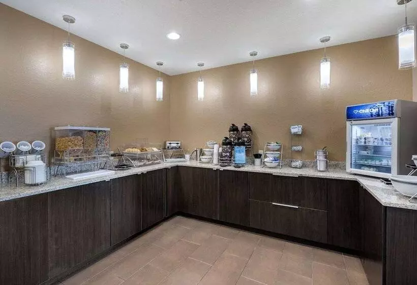 ホテル Comfort Inn & Suites Cedar Rapids Cid Eastern Iowa Airport