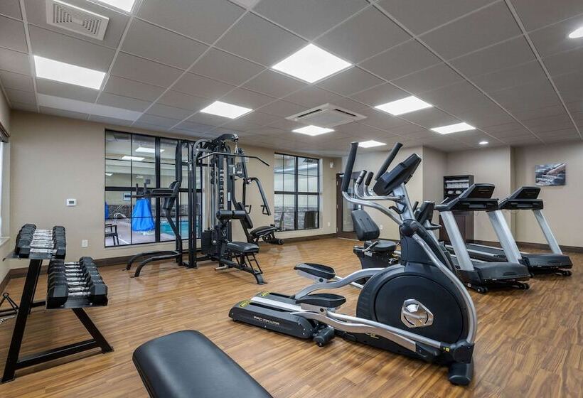 فندق Comfort Inn & Suites Cedar Rapids Cid Eastern Iowa Airport