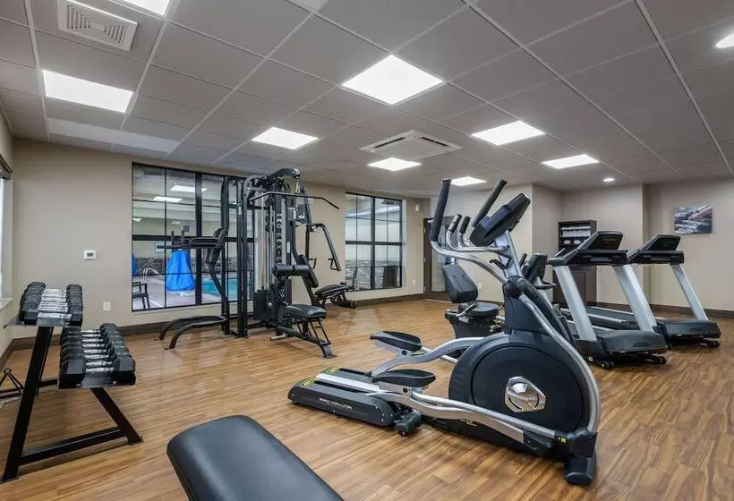 ホテル Comfort Inn & Suites Cedar Rapids Cid Eastern Iowa Airport