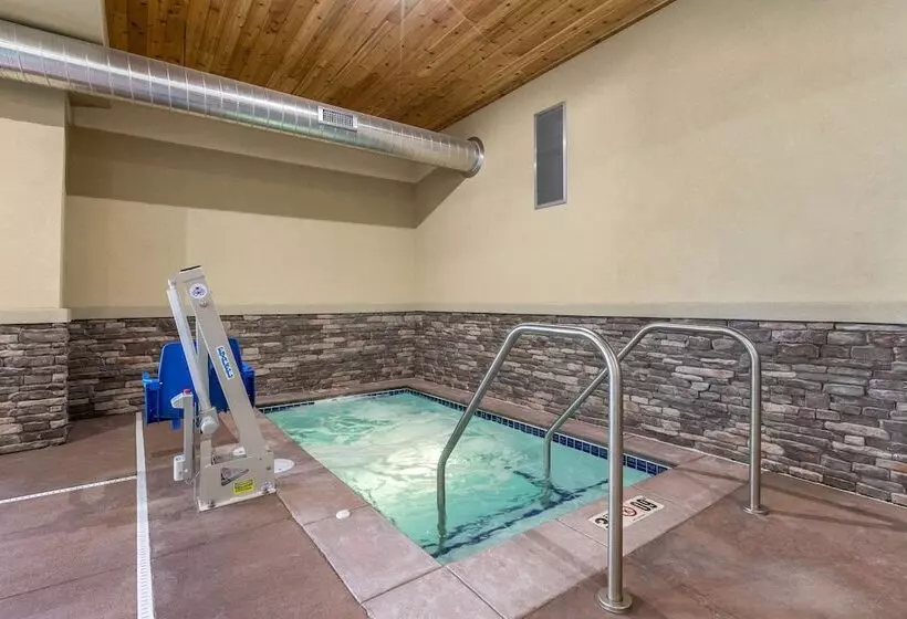 ホテル Comfort Inn & Suites Cedar Rapids Cid Eastern Iowa Airport