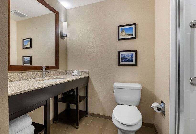 فندق Comfort Inn & Suites Cedar Rapids Cid Eastern Iowa Airport