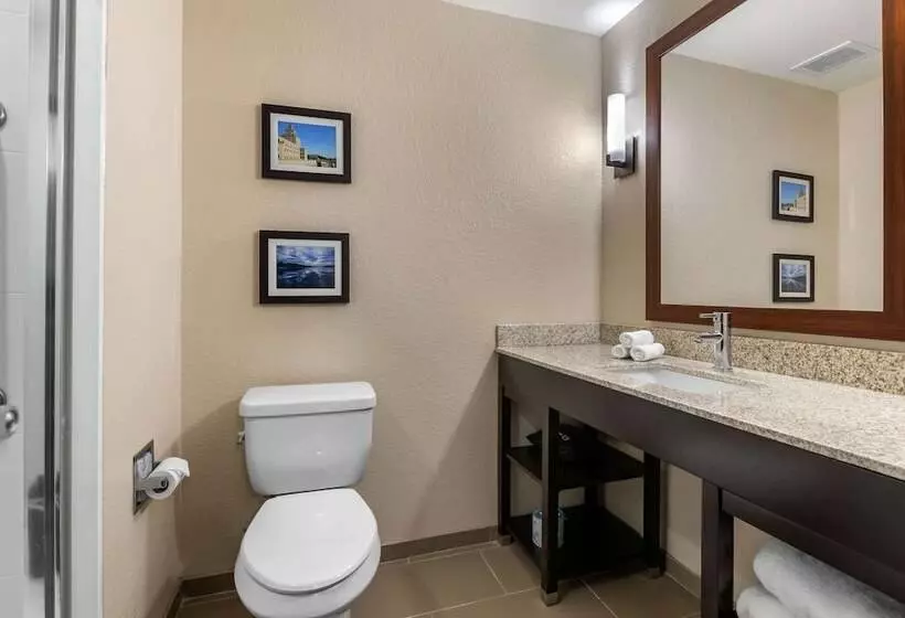 ホテル Comfort Inn & Suites Cedar Rapids Cid Eastern Iowa Airport