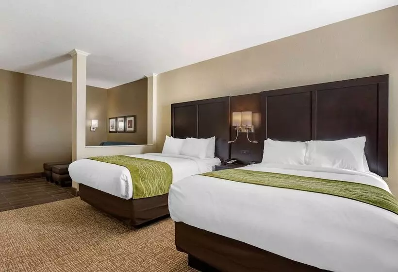 ホテル Comfort Inn & Suites Cedar Rapids Cid Eastern Iowa Airport