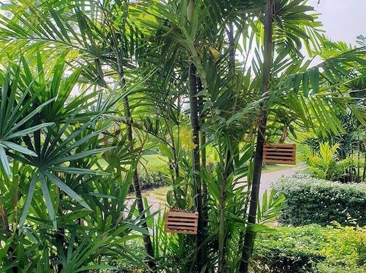 هتل Sukhothai Indy Resort