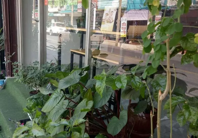 پانسیون D House Hostel