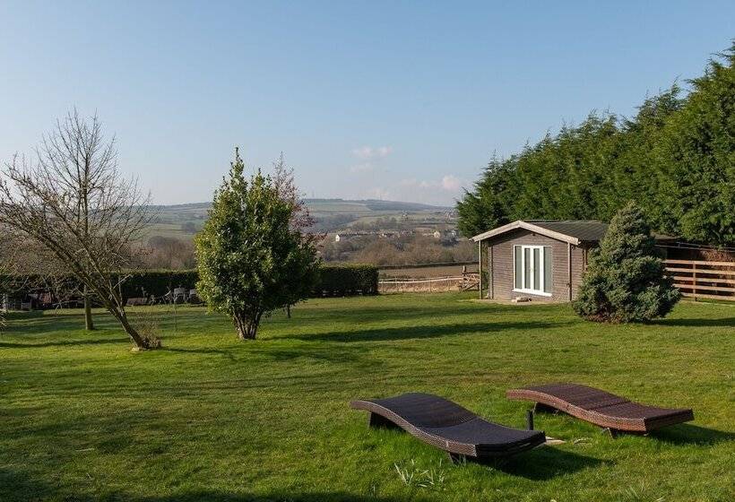 بنسيون My Way Guest House