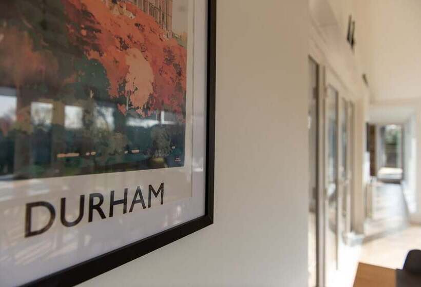 بنسيون My Way Guest House