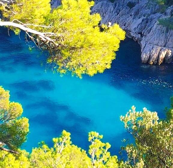 Rare   Escale Bicolore   Bas De Villa Privé Proche De Cassis   Piscine Chauffée Pendant L été