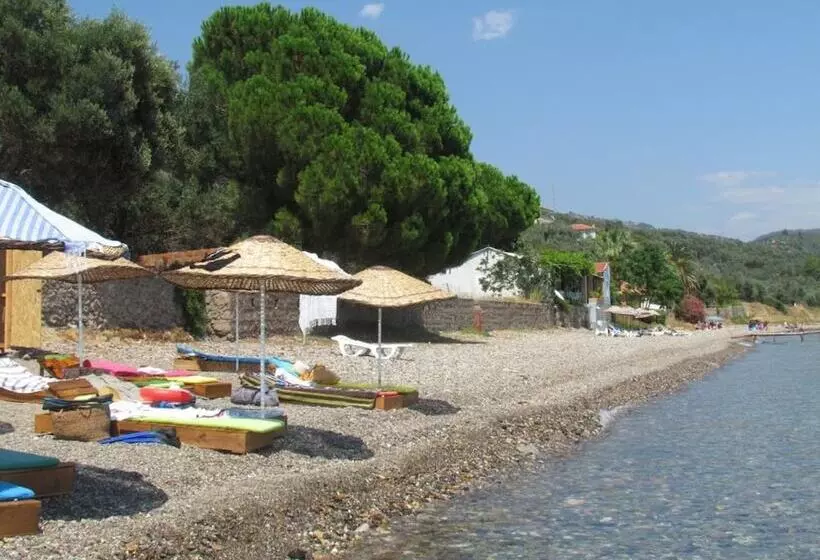 Assos Yenibahce Motel