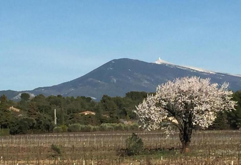 تختخواب و صبحانه Le Mas Au Portail Bleu