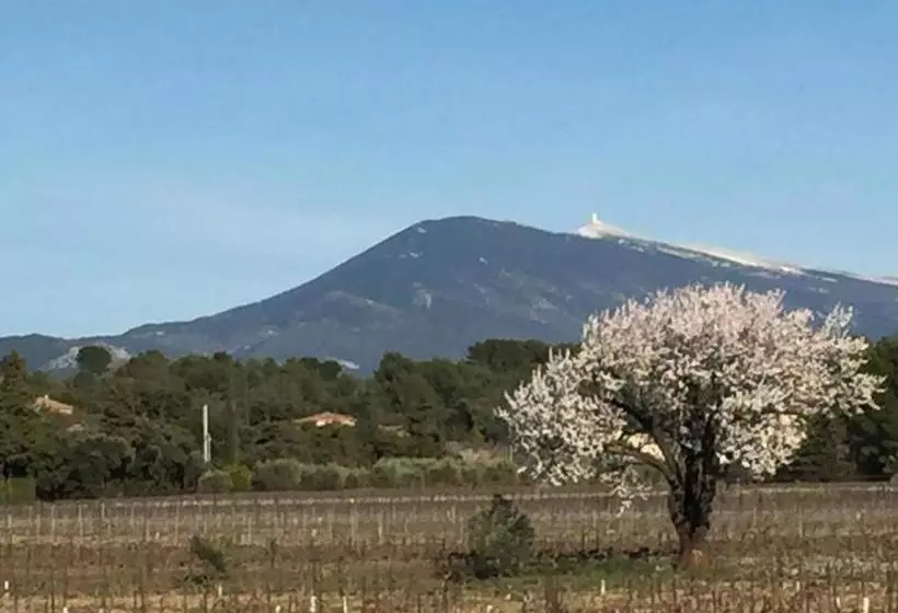 ベッドアンドブレックファースト Le Mas Au Portail Bleu