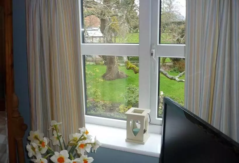 White Cottage Bed And Breakfast