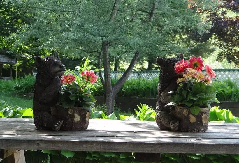 Aamiaismajoitus (B&B) Blue Gentian Lodge At Magic Mountain