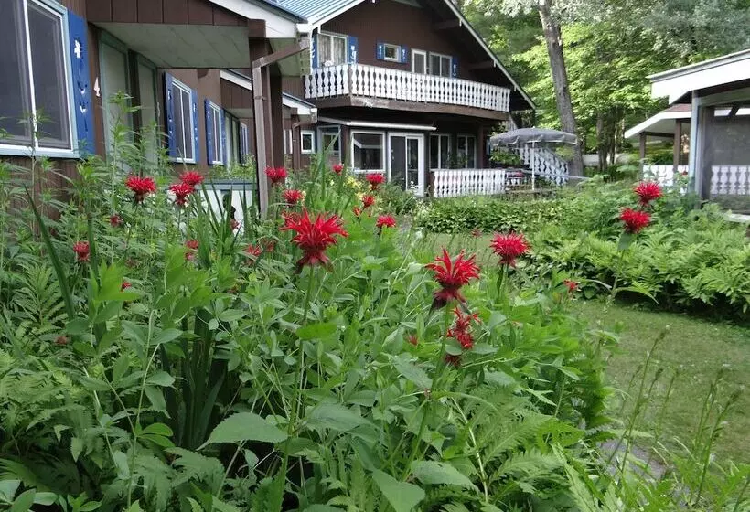 Aamiaismajoitus (B&B) Blue Gentian Lodge At Magic Mountain
