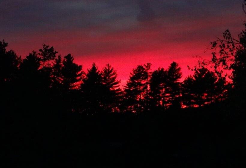 ベッドアンドブレックファースト Blue Gentian Lodge At Magic Mountain