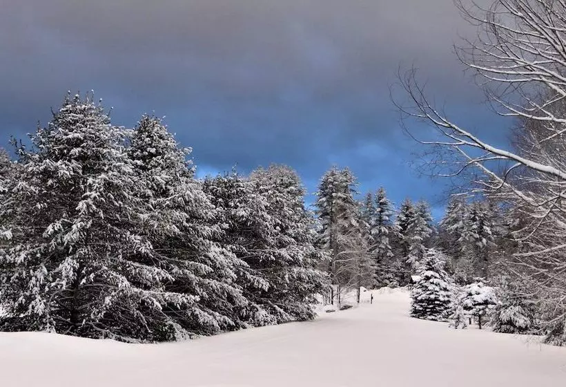 Aamiaismajoitus (B&B) Blue Gentian Lodge At Magic Mountain