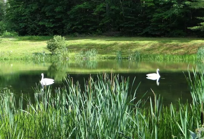 Aamiaismajoitus (B&B) Blue Gentian Lodge At Magic Mountain